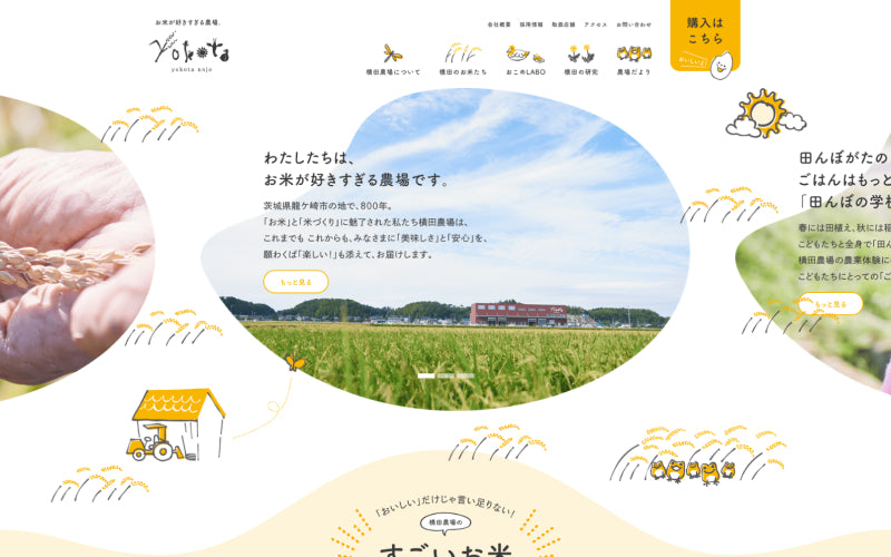 横田農場 おいしくて安全なお米の生産直売 茨城県龍ケ崎市